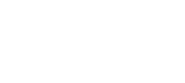 Logo Flozzyhairline